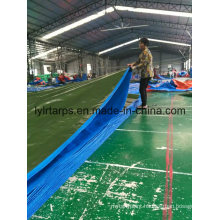 Factory Price Coated PE Tarpaulin for Truck Cover, Tents